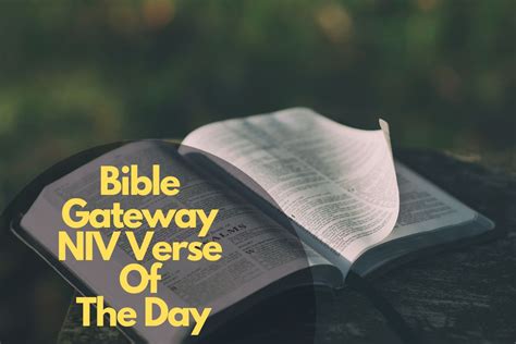 bible gateway niv